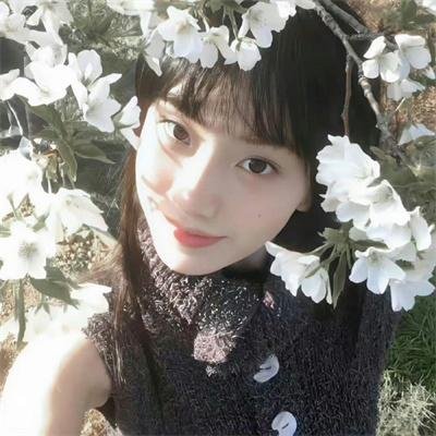 咎狗之血